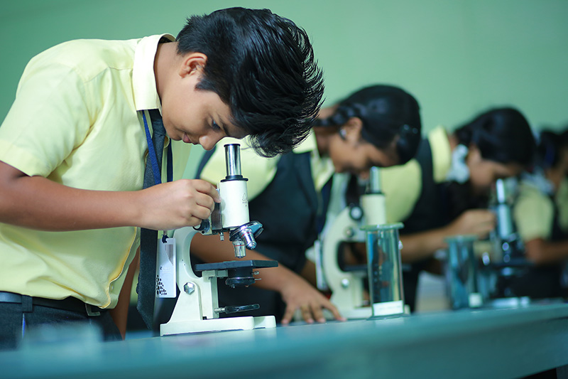 lab
